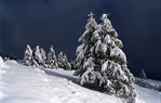 Les-Ecrins-00.jpg