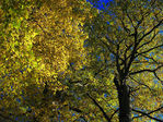 1-IMG_1032.jpg