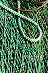 Août08-0113.jpg