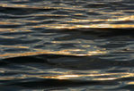 Août12-0008.jpg