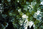 Août19-0111.jpg