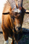 Août27-0125.jpg