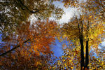 Automne_10-3.jpg