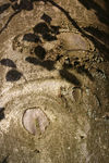 Autumn0011.jpg