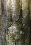 Autumn0017.jpg