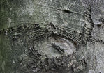 Autumn0019-2.jpg