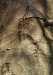 Autumn0019.jpg