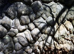 Bleau_S_04_001.jpg