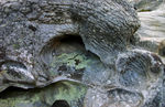 Bleau_S_04_005.jpg