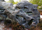 Bleau_S_04_006.jpg