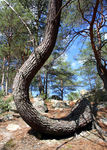 Bleau_S_04_016.jpg