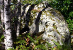 Bleau_S_04_036.jpg