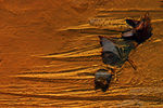 Décembre-010062.jpg