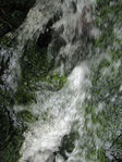 Filename=Eau-vive_02.jpg
Filesize=98KB
Dimensions=450x600
Date added=Mar 07, 2008 Eau-vive_02.jpg