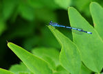 Ferrieres2-0046.jpg