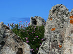 Granit-w.jpg