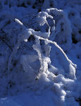 Hiver-09.jpg