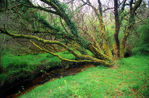 Huelgoat-09.jpg