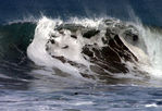 IMG_0078-1.jpg
