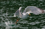 IMG_5555.jpg