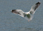 IMG_5655.jpg