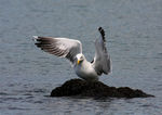 IMG_5659.jpg