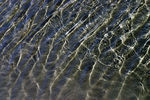 Img_0085.jpg