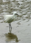 Img_0089.jpg