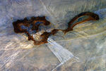 Janvier06-0030.jpg