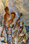 Janvier06-0031.jpg