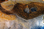 Janvier06-0040.jpg