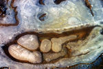 Janvier06-0042.jpg