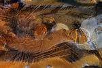 Janvier06-0047.jpg