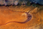 Janvier06-0058.jpg
