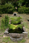Jardin_secret_03.jpg