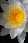 Juillet05-0076.jpg