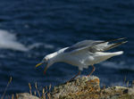 Juillet11-0034.jpg