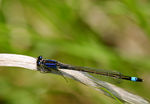 Juin02-0069.jpg
