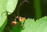 Juin04-0030.jpg