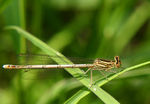 Juin05-0034.jpg