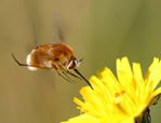 Juin27-0077.jpg