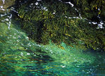Marine_08.jpg