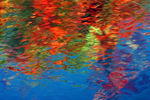 Novembre01-0007.jpg