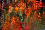 Novembre01-0009.jpg