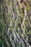 Novembre01-0016.jpg