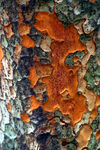 Novembre01-0027.jpg