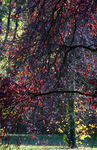 Novembre01-0043.jpg
