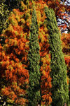 Novembre01-0051.jpg