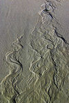 Novembre04-0048.jpg