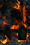 Novembre09-0090.JPG